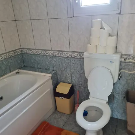 Casa Serban Apartment *